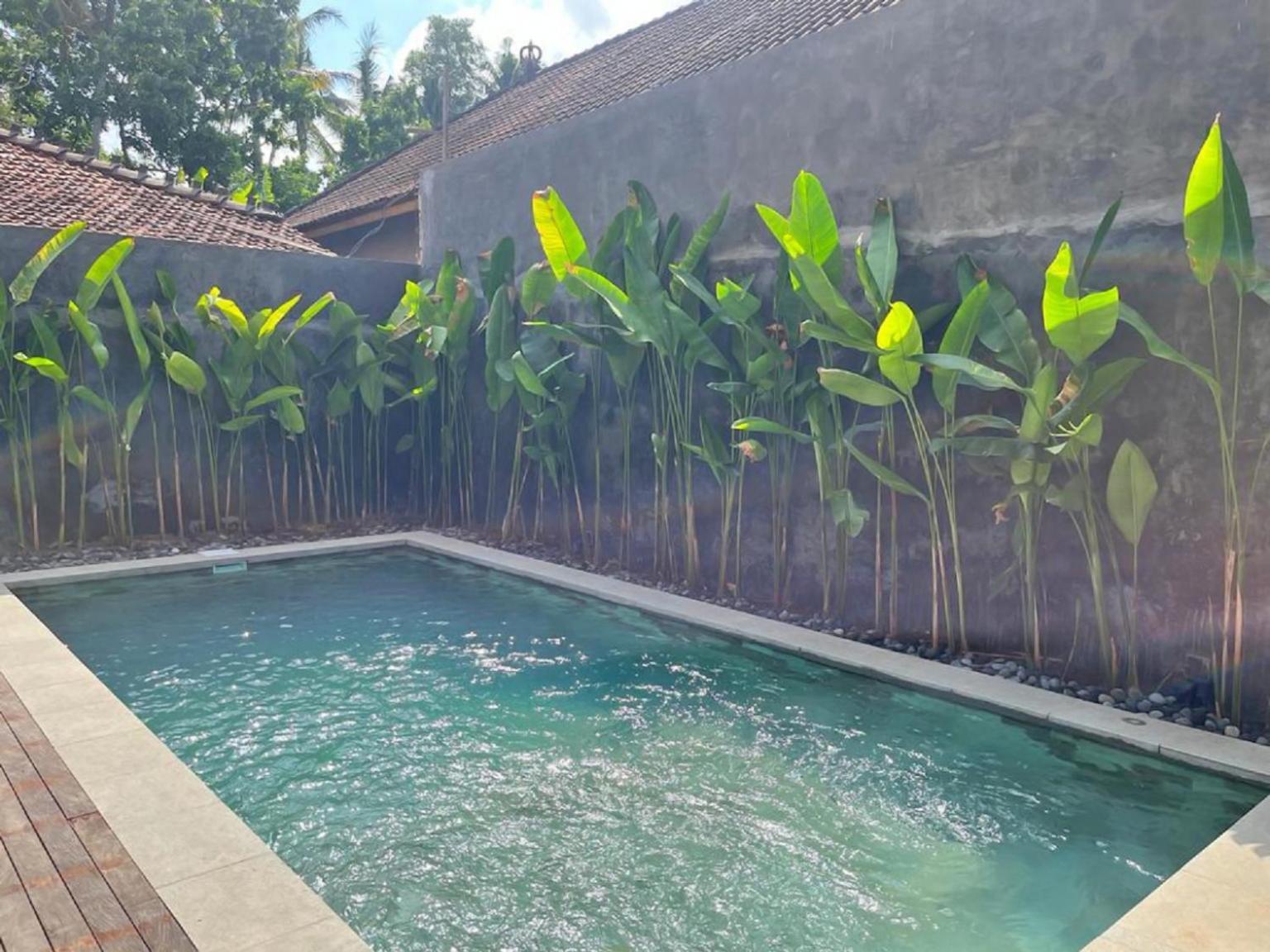 Pondok Eka Wood Ubud Værelse billede
