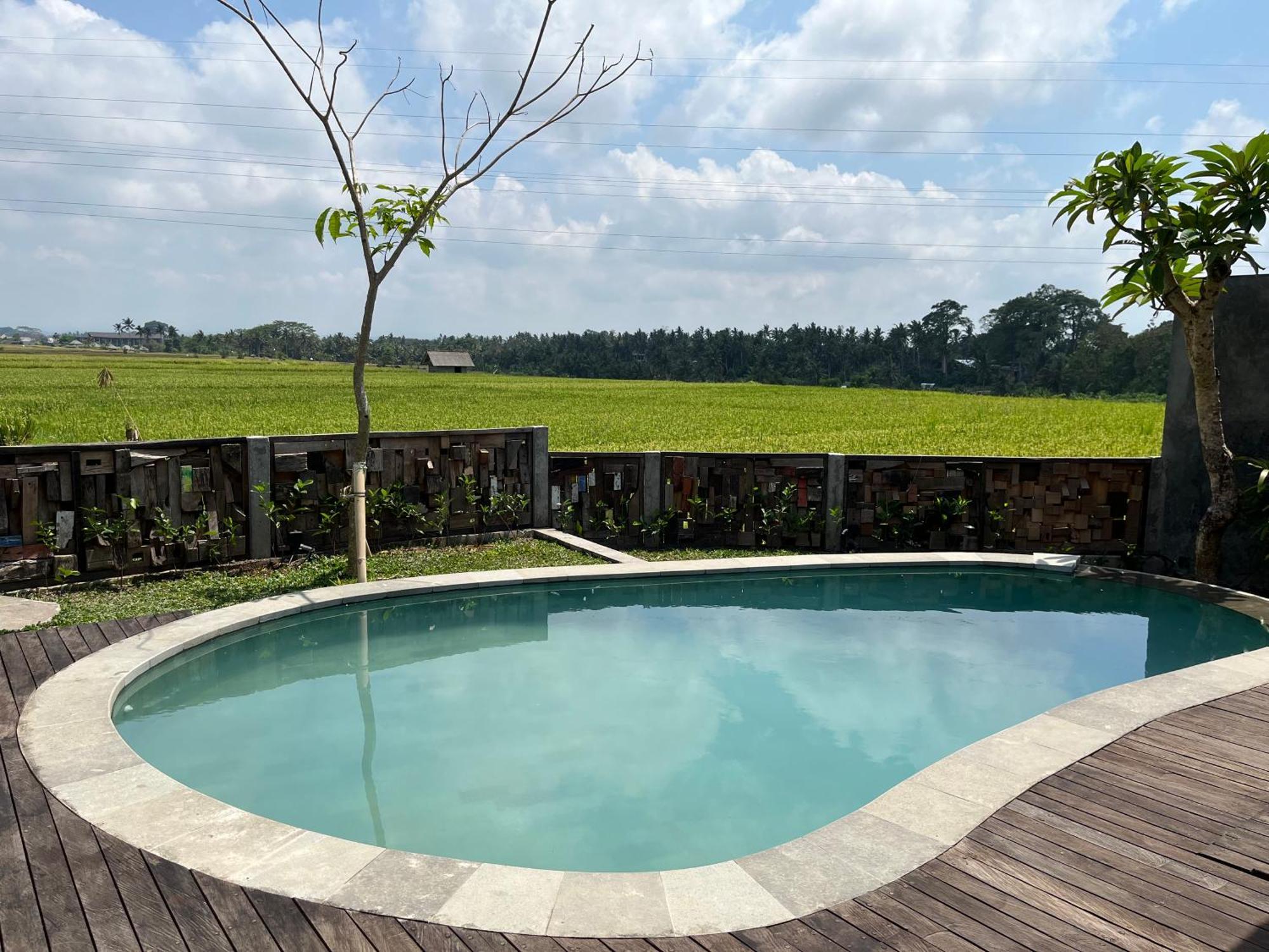 Pondok Eka Wood Ubud Værelse billede